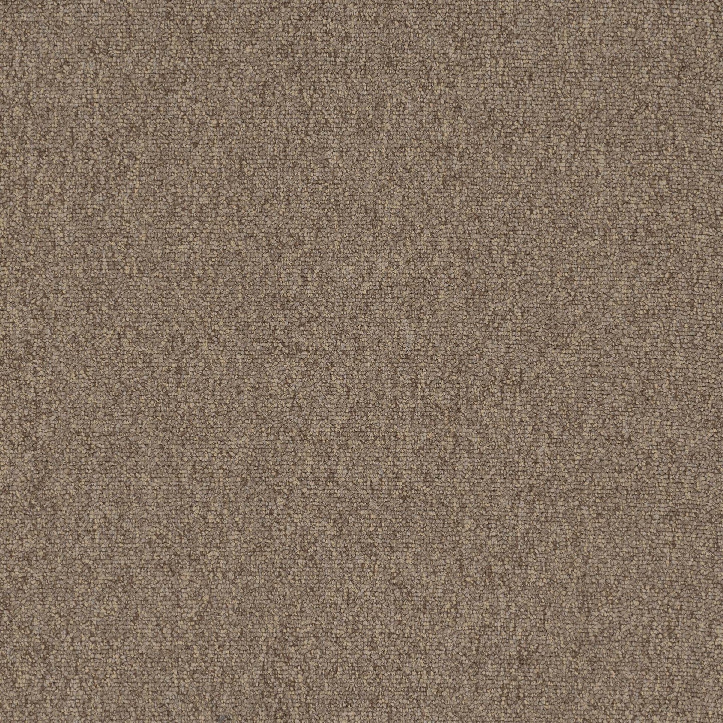Diversified 20 Broadloom Muddled