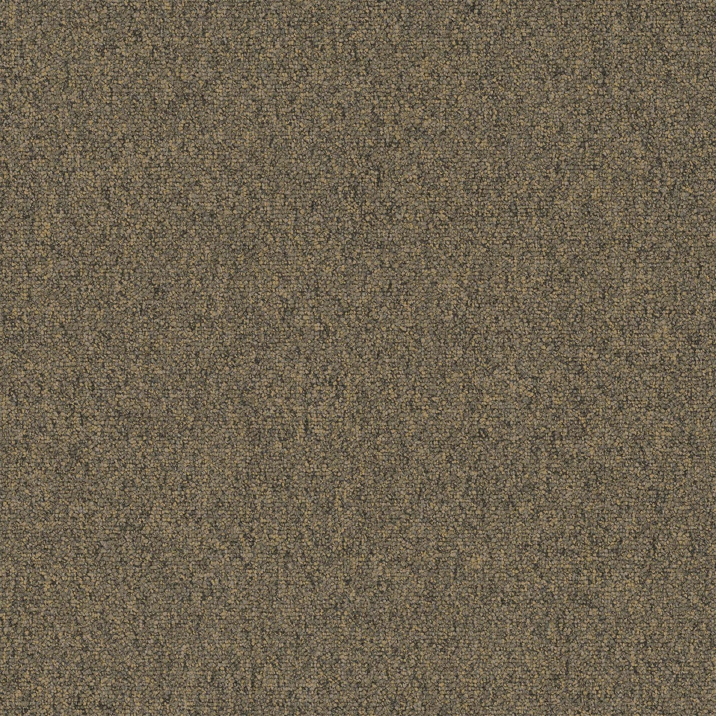 Diversified 20 Broadloom Contrary