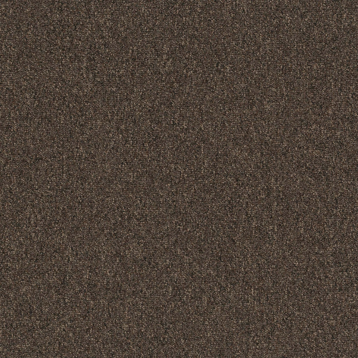 Diversified 20 Broadloom Bizarre