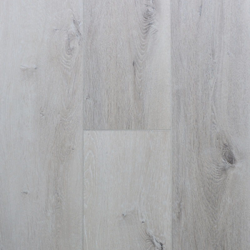 Coral Reef Collection EIR