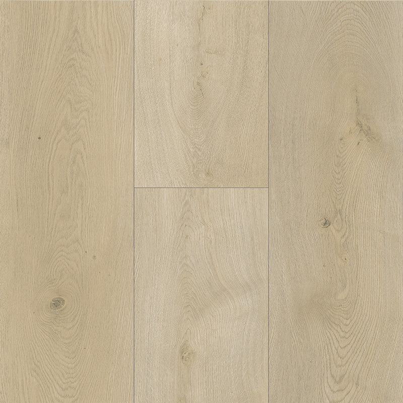 Grandeur Collection EIR