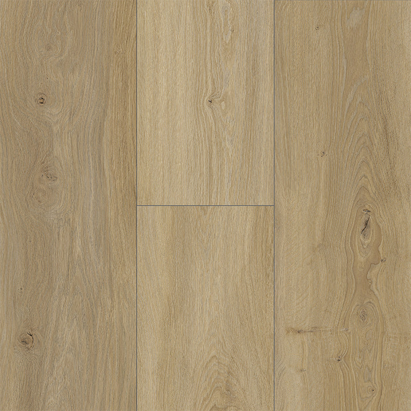Grandeur Collection EIR