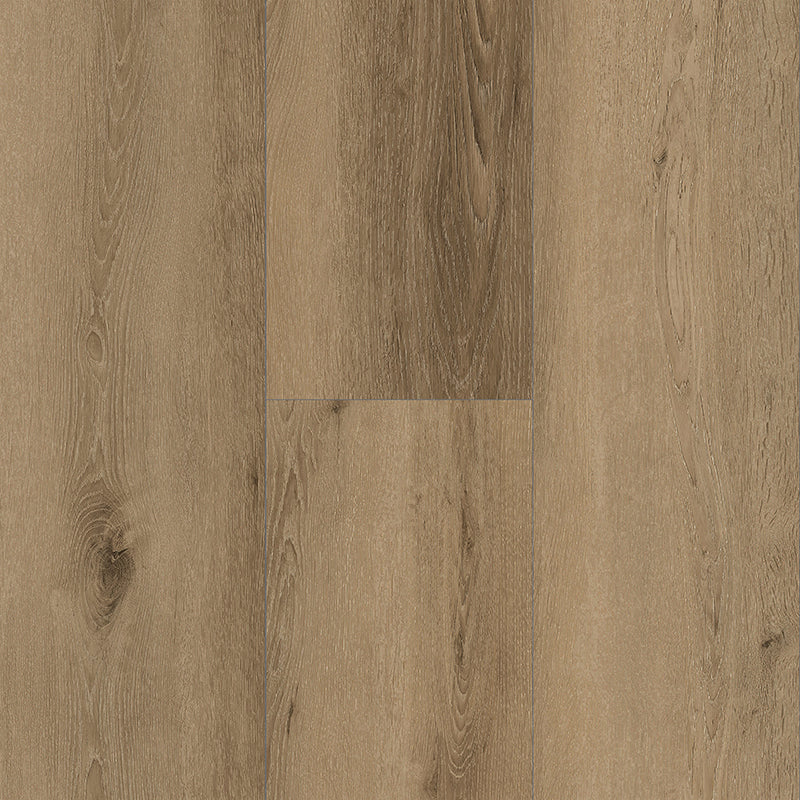 Grandeur Collection EIR