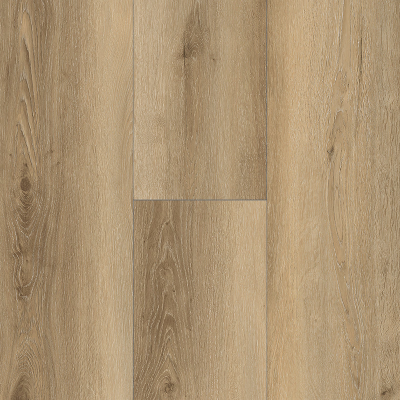 Grandeur Collection EIR