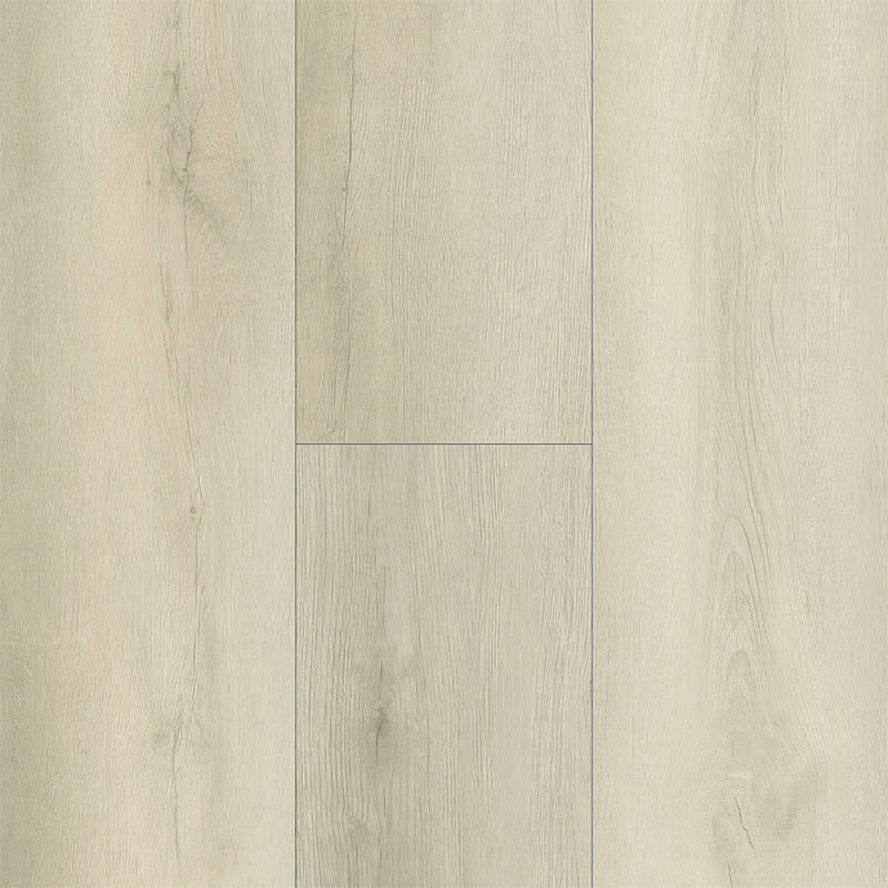 Grandeur Collection EIR