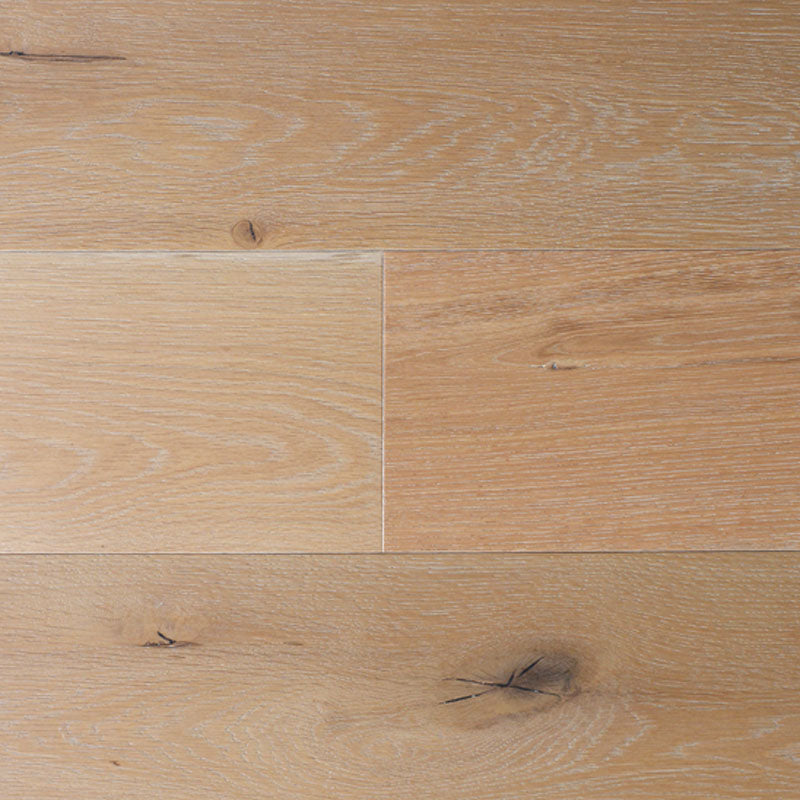 European Oak