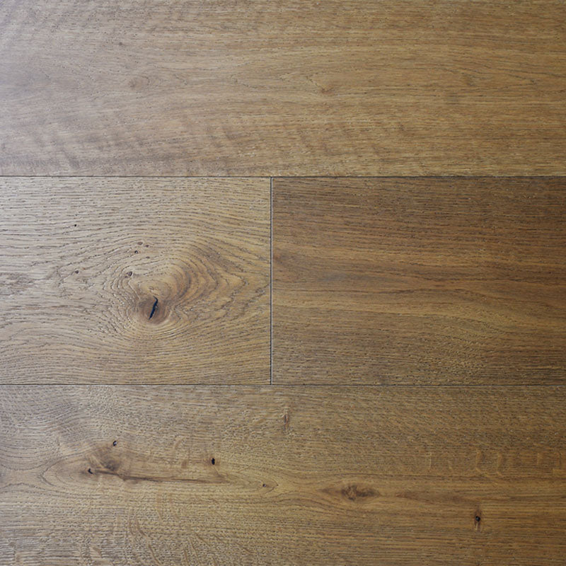 European Oak