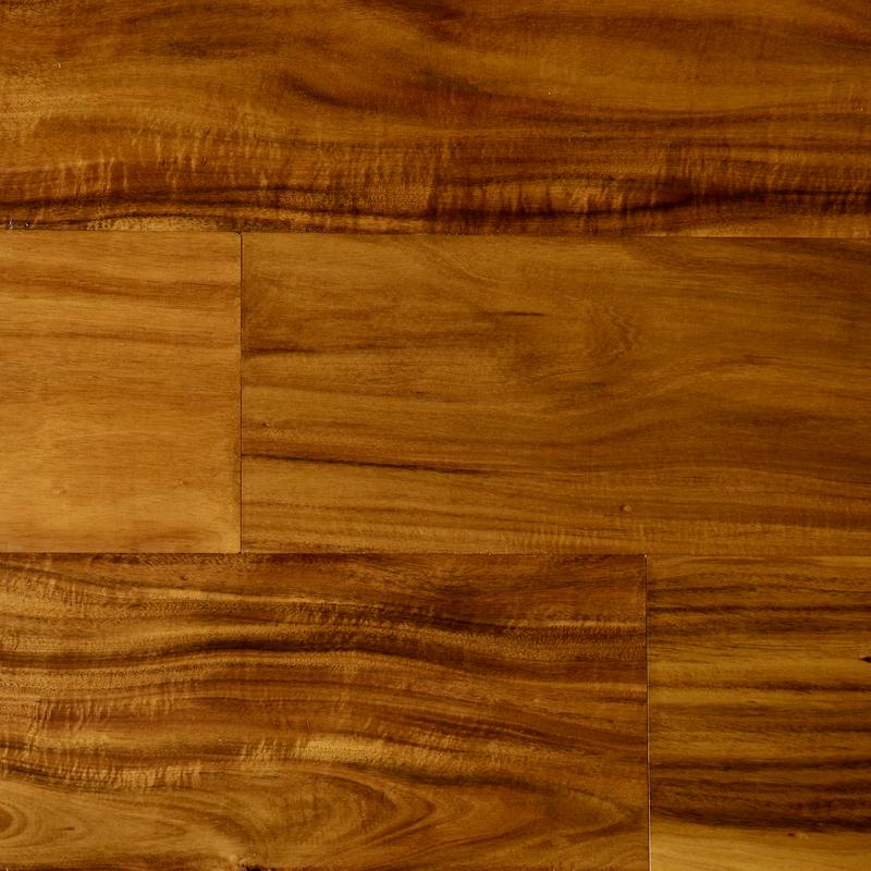 Acacia
