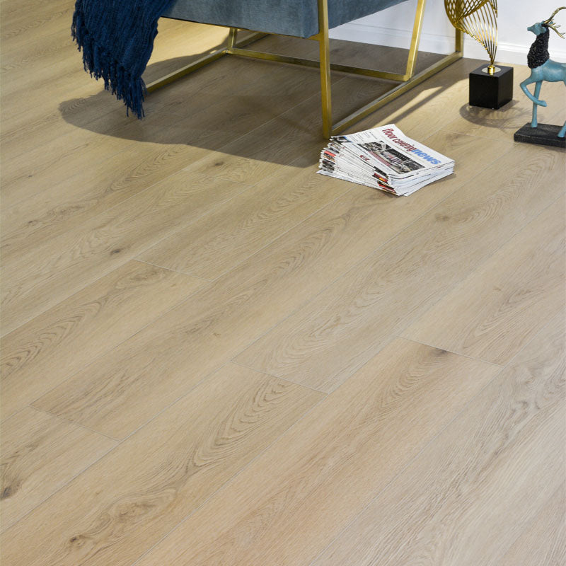 Virgin Island Collection EIR