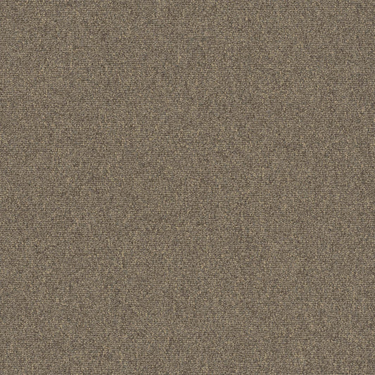 Diversified 20 Broadloom Unique