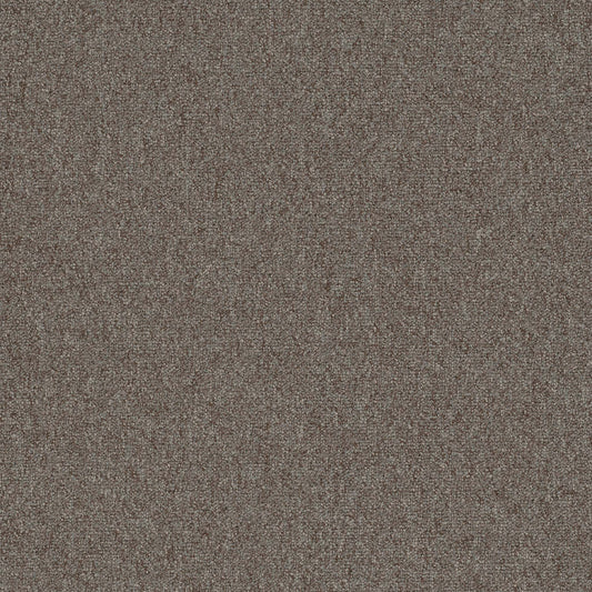 Diversified 20 Broadloom Discrete