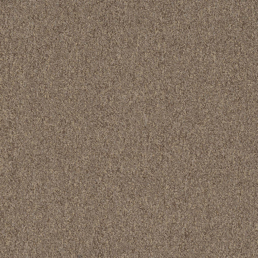 Diversified 20 Broadloom Muddled