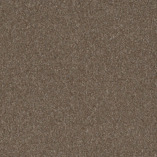 Diversified 20 Broadloom Varied
