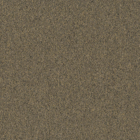 Diversified 20 Broadloom Contrary